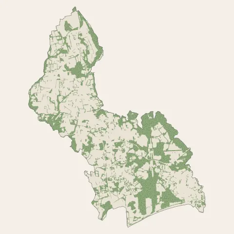 Combrit : bois, forêts et landes