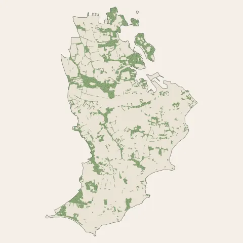 Loctudy : bois, forêts et landes