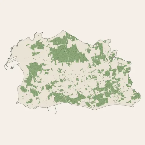 Penmarch : bois, forêts et landes