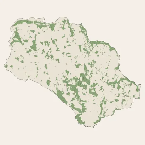 Plouhinec : bois, forêts et landes