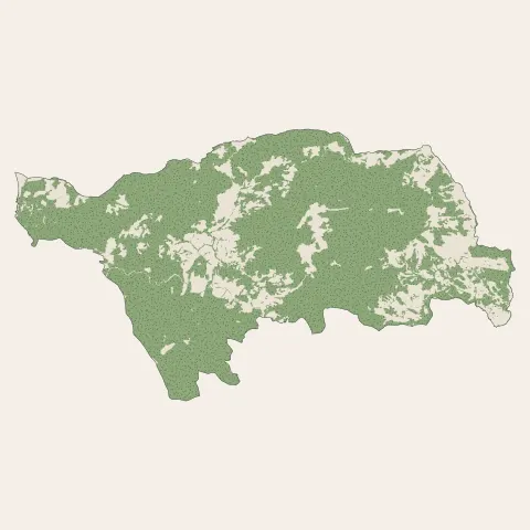 Alata : bois, forêts et landes