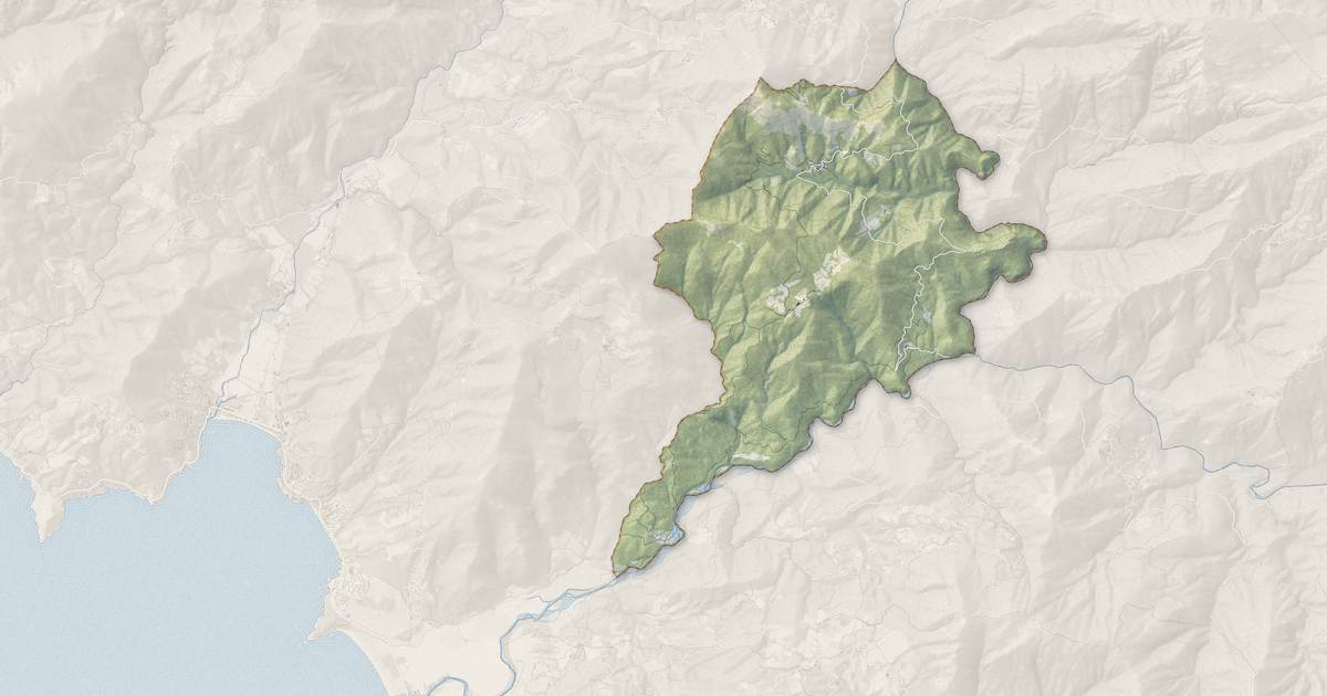 Portrait cartographique de Arbori : relief, eau, forêts, bâti et voies, calculés à partir des données de l'IGN