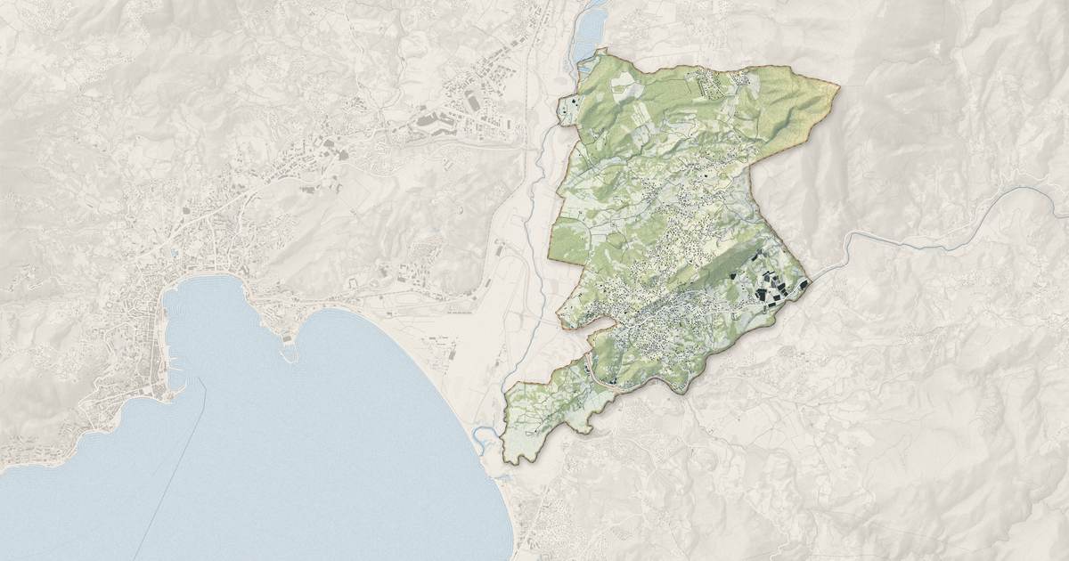 Portrait cartographique de Bastelicaccia : relief, eau, forêts, bâti et voies, calculés à partir des données de l'IGN