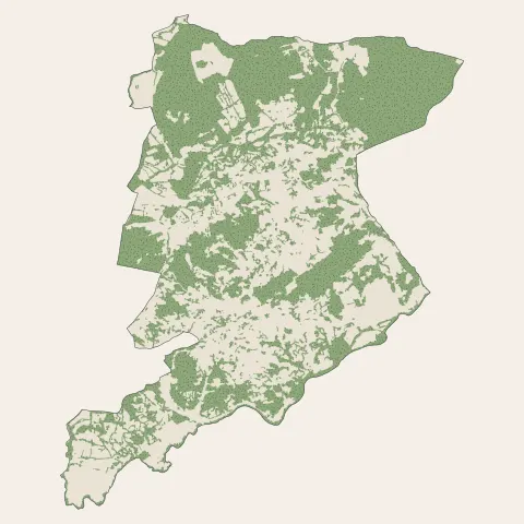 Bastelicaccia : bois, forêts et landes
