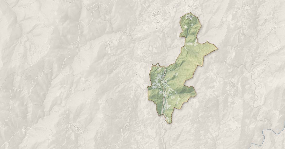 Portrait cartographique de Cardo-Torgia : relief, eau, forêts, bâti et voies, calculés à partir des données de l'IGN