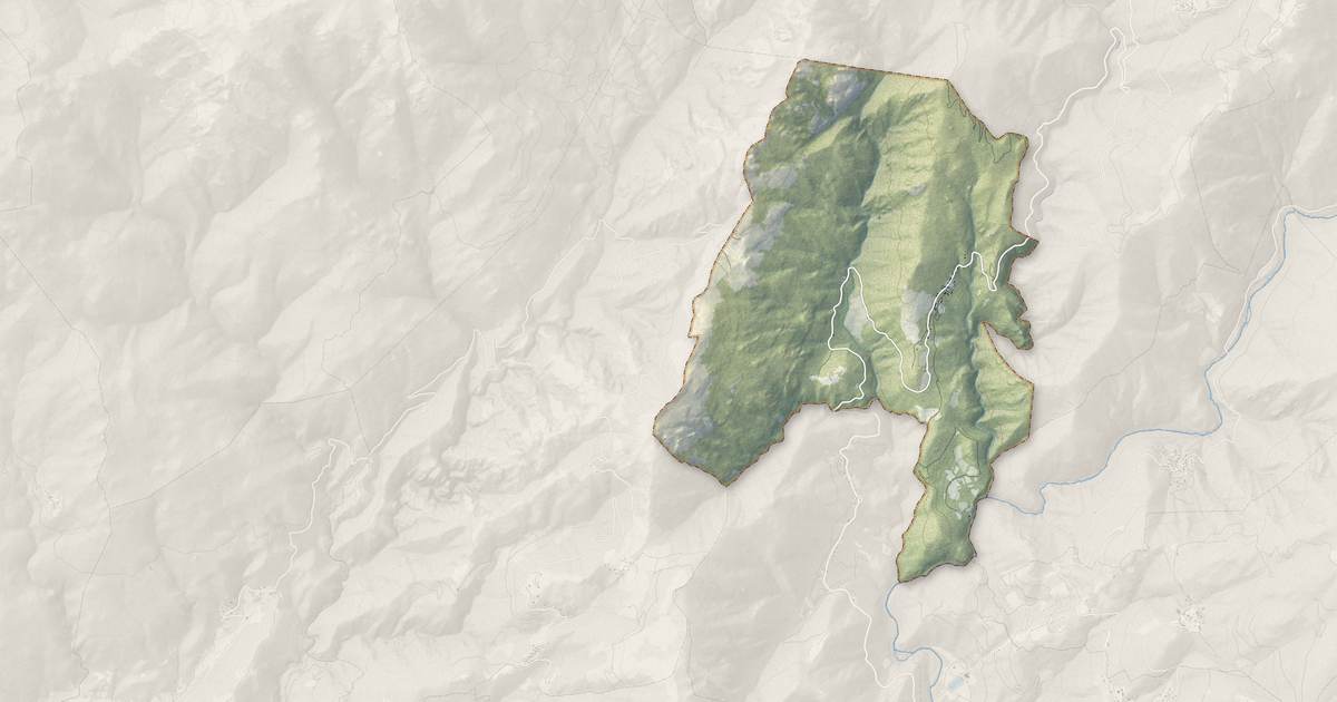 Portrait cartographique de Cargiaca : relief, eau, forêts, bâti et voies, calculés à partir des données de l'IGN