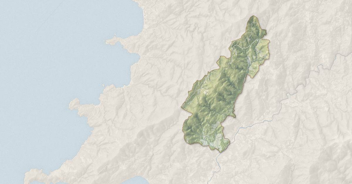 Portrait cartographique de Cognocoli-Monticchi : relief, eau, forêts, bâti et voies, calculés à partir des données de l'IGN