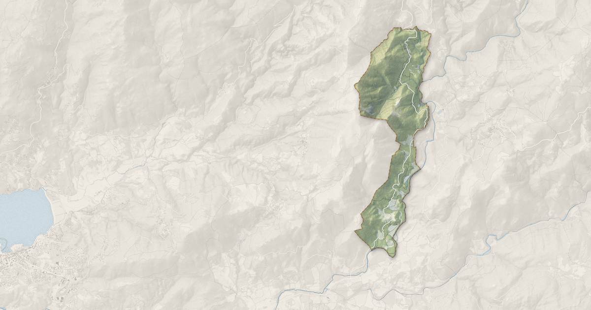 Portrait cartographique de Loreto-di-Tallano : relief, eau, forêts, bâti et voies, calculés à partir des données de l'IGN