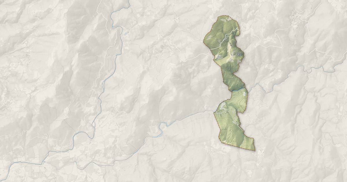 Portrait cartographique de Mela : relief, eau, forêts, bâti et voies, calculés à partir des données de l'IGN