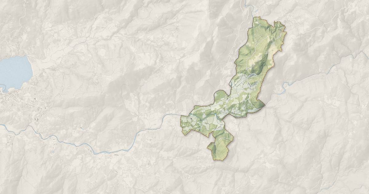 Portrait cartographique de Olmiccia : relief, eau, forêts, bâti et voies, calculés à partir des données de l'IGN