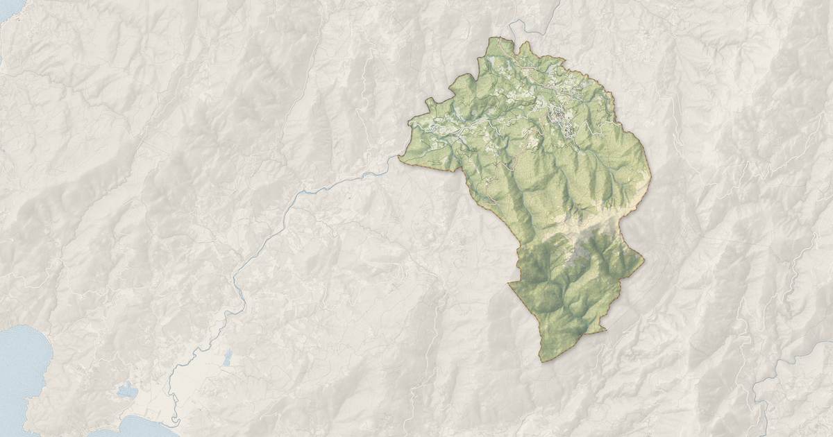 Portrait cartographique de Petreto-Bicchisano : relief, eau, forêts, bâti et voies, calculés à partir des données de l'IGN