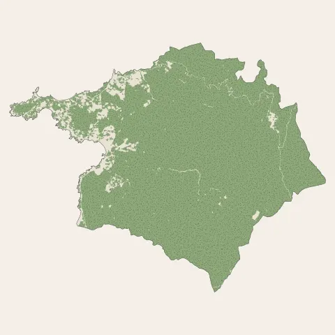 Pietrosella : bois, forêts et landes