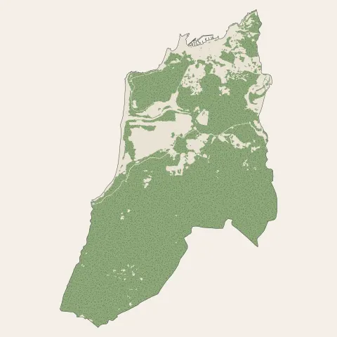 Propriano : bois, forêts et landes