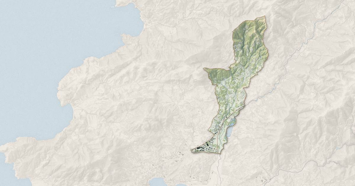 Portrait cartographique de Sarrola-Carcopino : relief, eau, forêts, bâti et voies, calculés à partir des données de l'IGN
