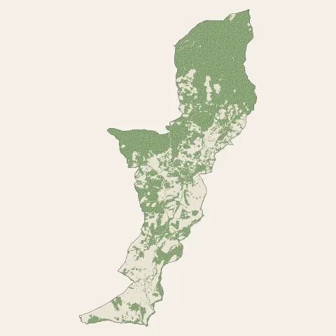 Sarrola-Carcopino : bois, forêts et landes