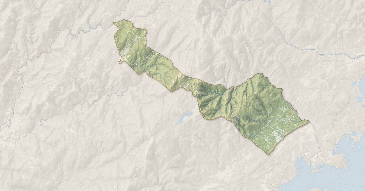 Portrait cartographique de San-Gavino-di-Carbini : relief, eau, forêts, bâti et voies, calculés à partir des données de l'IGN