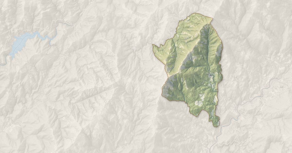 Portrait cartographique de Tasso : relief, eau, forêts, bâti et voies, calculés à partir des données de l'IGN