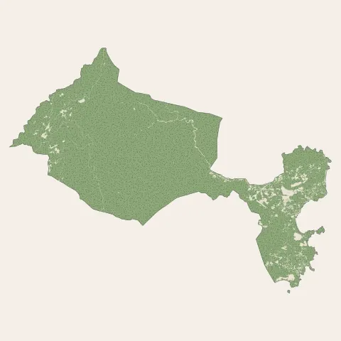 Zonza : bois, forêts et landes
