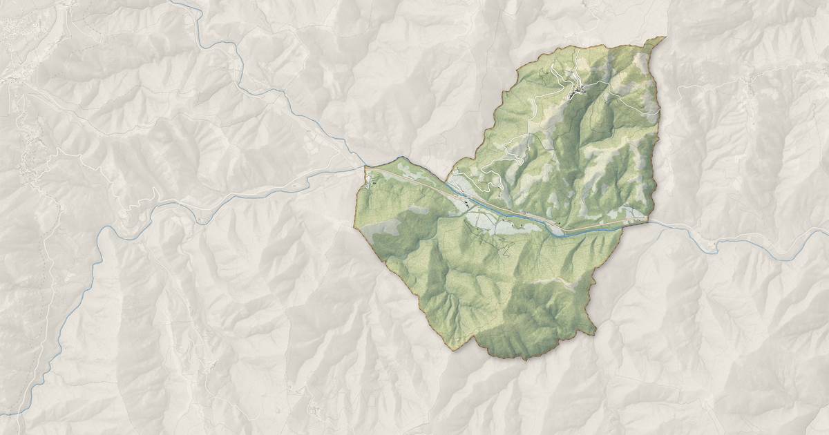 Portrait cartographique de Altiani : relief, eau, forêts, bâti et voies, calculés à partir des données de l'IGN