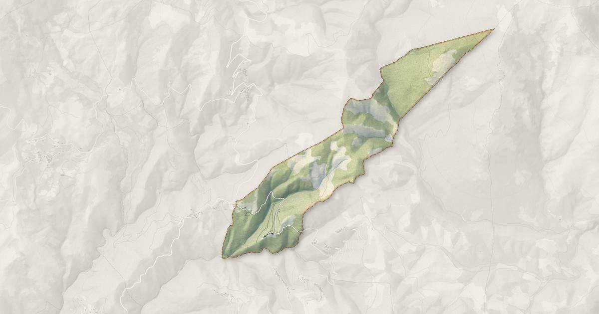 Portrait cartographique de Alzi : relief, eau, forêts, bâti et voies, calculés à partir des données de l'IGN
