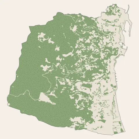 Bastia : bois, forêts et landes