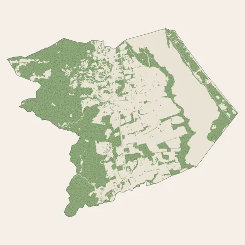 Biguglia : bois, forêts et landes