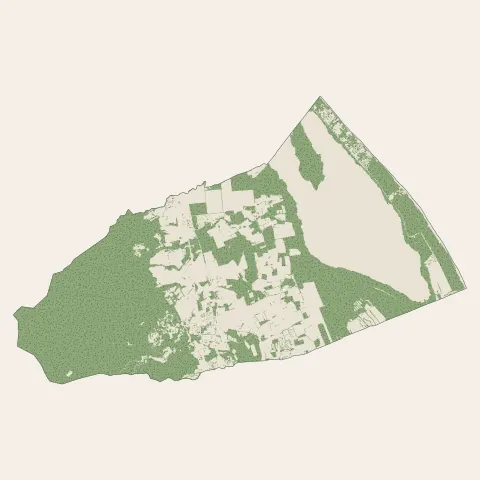 Borgo : bois, forêts et landes
