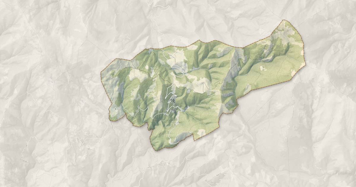 Portrait cartographique de Bustanico : relief, eau, forêts, bâti et voies, calculés à partir des données de l'IGN