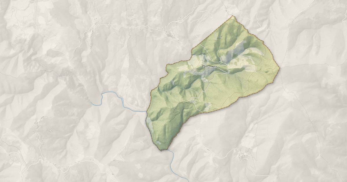 Portrait cartographique de Campi : relief, eau, forêts, bâti et voies, calculés à partir des données de l'IGN