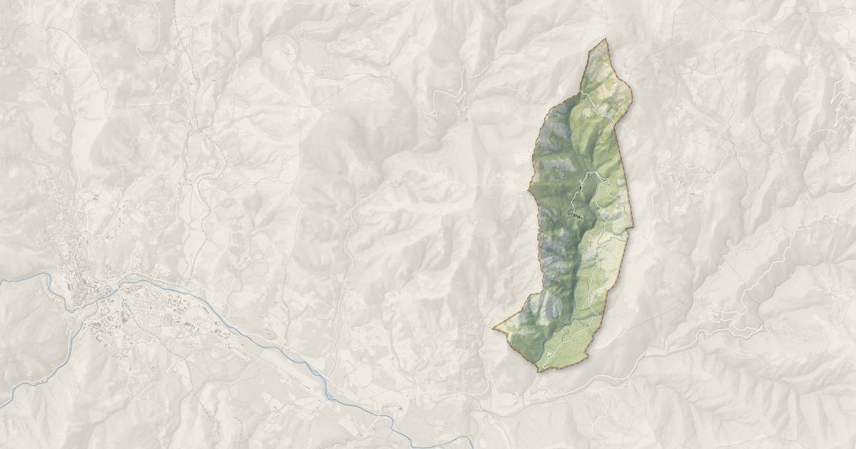Portrait cartographique de Castellare-di-Mercurio : relief, eau, forêts, bâti et voies, calculés à partir des données de l'IGN