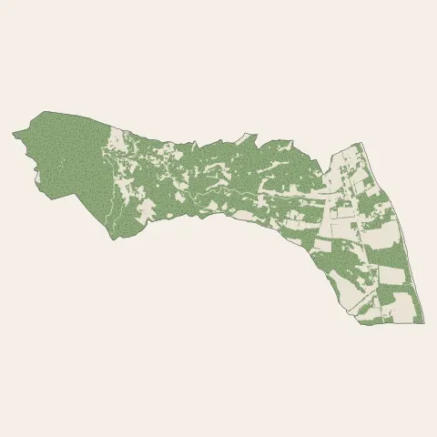 Cervione : bois, forêts et landes