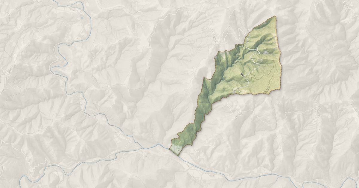 Portrait cartographique de Focicchia : relief, eau, forêts, bâti et voies, calculés à partir des données de l'IGN