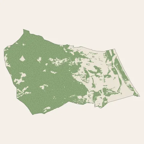 Furiani : bois, forêts et landes