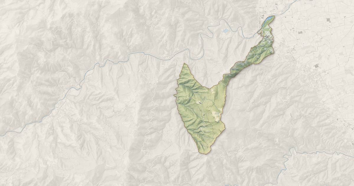 Portrait cartographique de Monte : relief, eau, forêts, bâti et voies, calculés à partir des données de l'IGN