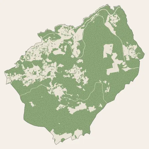 Monticello : bois, forêts et landes
