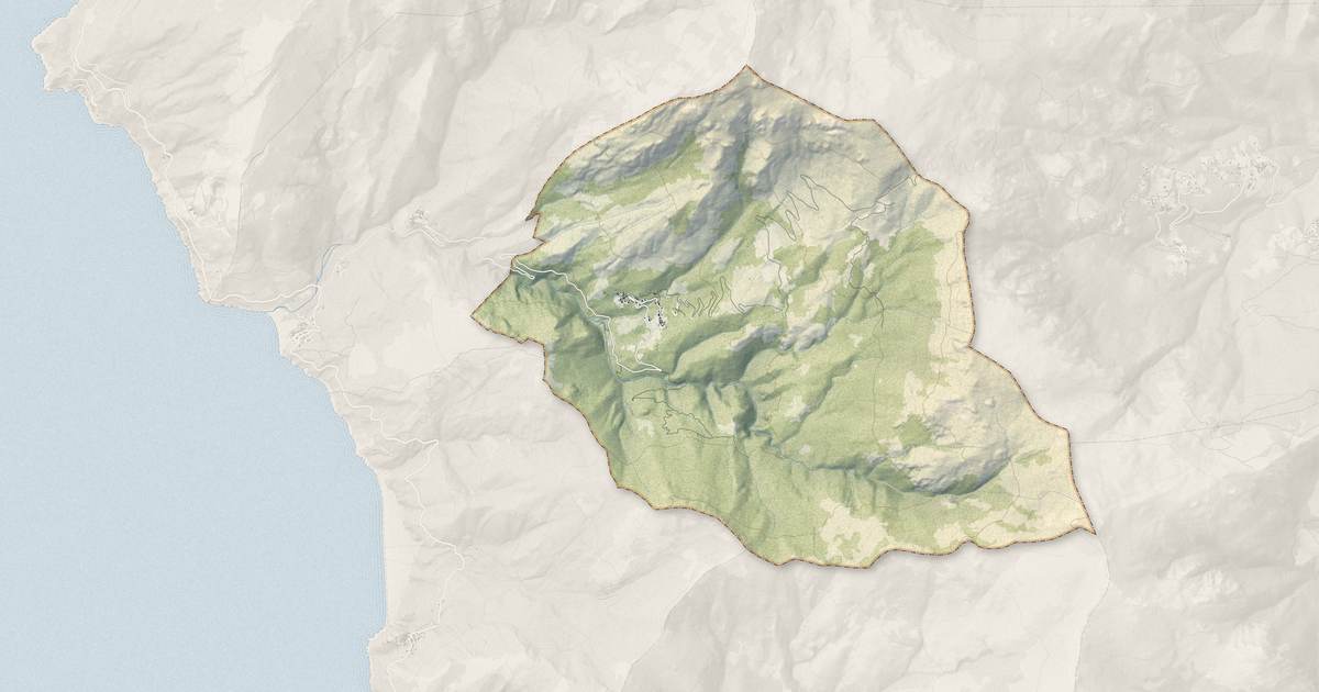 Portrait cartographique de Olcani : relief, eau, forêts, bâti et voies, calculés à partir des données de l'IGN
