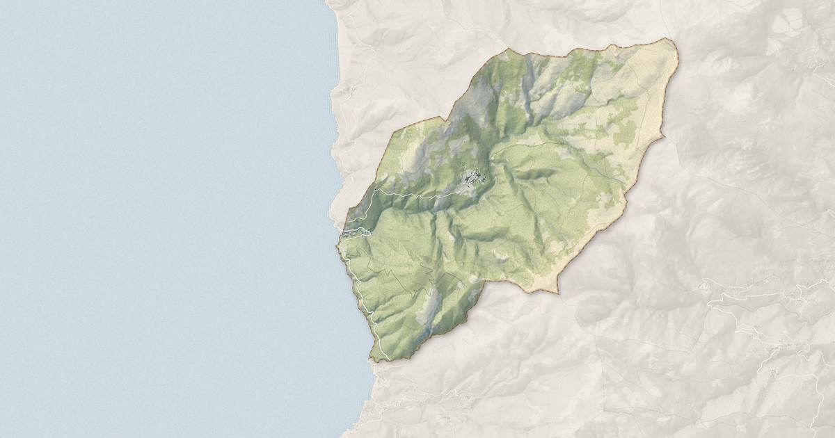 Portrait cartographique de Olmeta-di-Capocorso : relief, eau, forêts, bâti et voies, calculés à partir des données de l'IGN