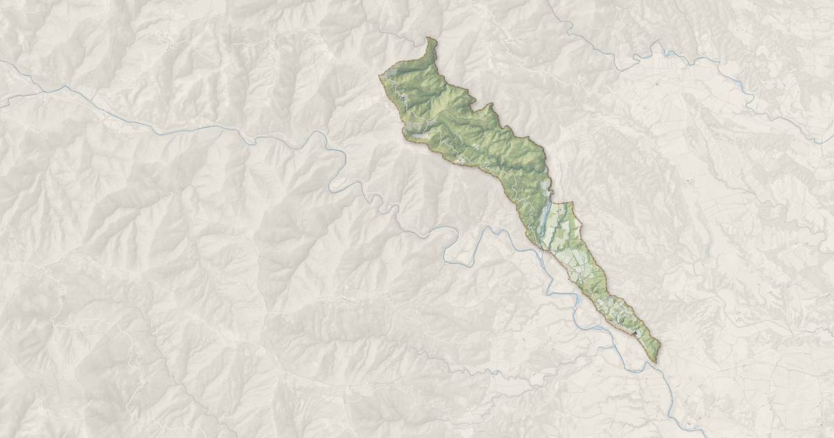 Portrait cartographique de Pancheraccia : relief, eau, forêts, bâti et voies, calculés à partir des données de l'IGN