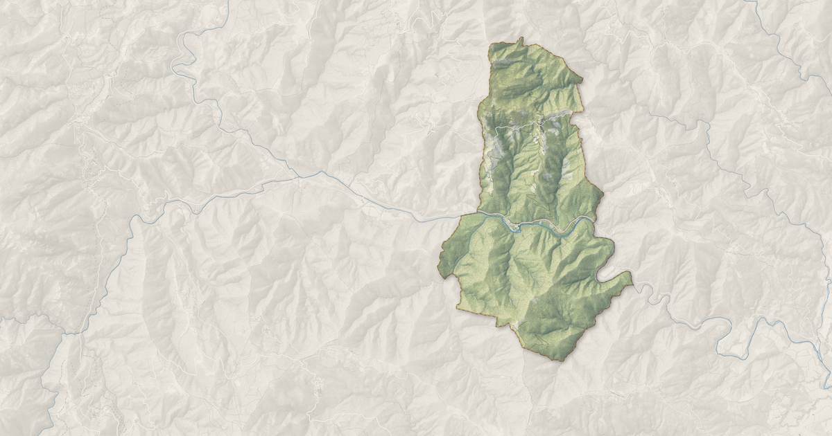 Portrait cartographique de Piedicorte-di-Gaggio : relief, eau, forêts, bâti et voies, calculés à partir des données de l'IGN