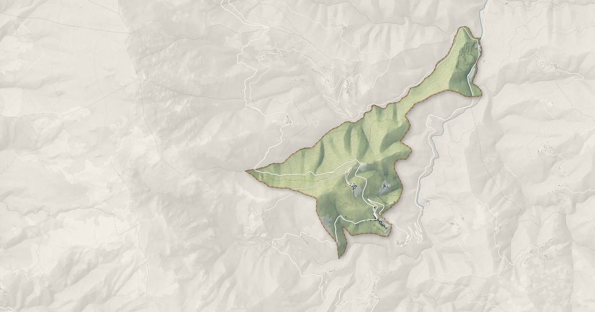 Portrait cartographique de Piedicroce : relief, eau, forêts, bâti et voies, calculés à partir des données de l'IGN