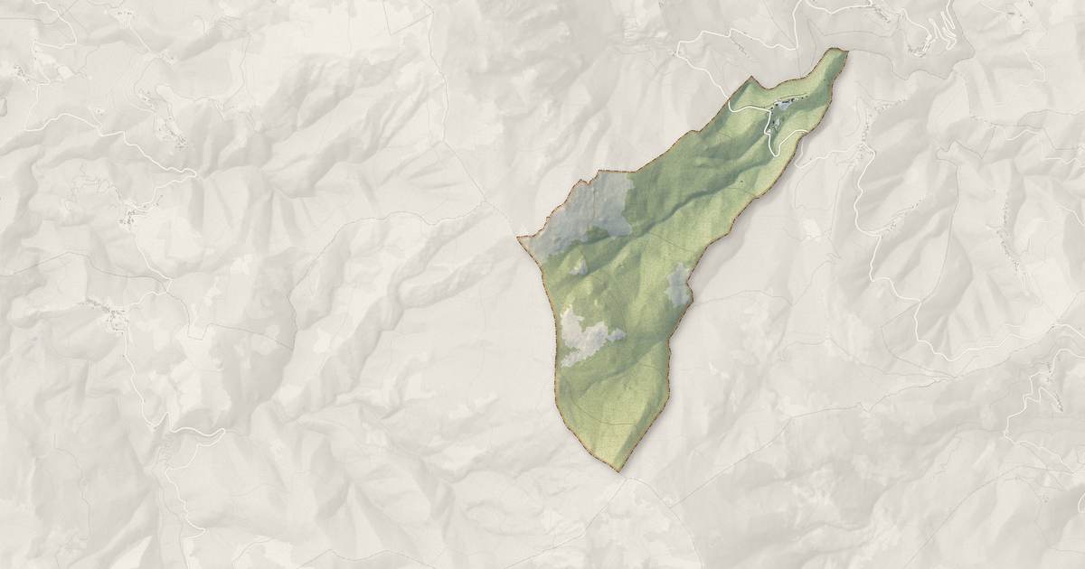 Portrait cartographique de Piedipartino : relief, eau, forêts, bâti et voies, calculés à partir des données de l'IGN