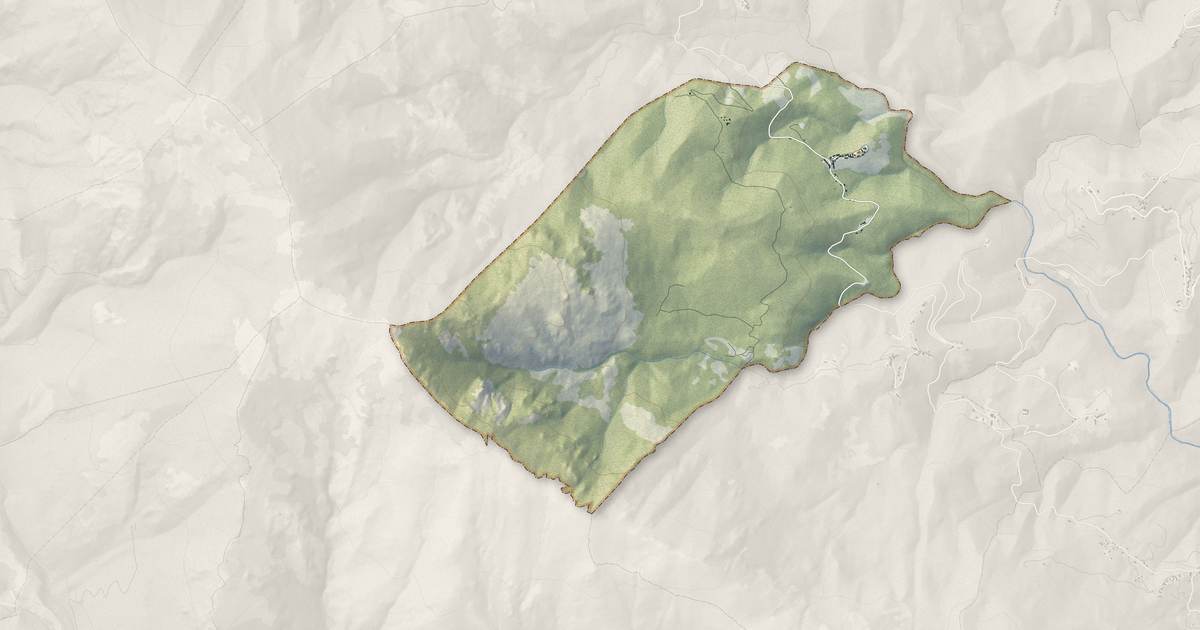 Portrait cartographique de Pietricaggio : relief, eau, forêts, bâti et voies, calculés à partir des données de l'IGN