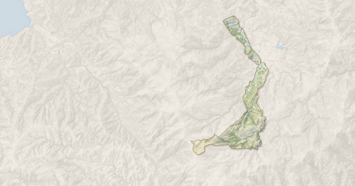 Portrait cartographique de Piève : relief, eau, forêts, bâti et voies, calculés à partir des données de l'IGN