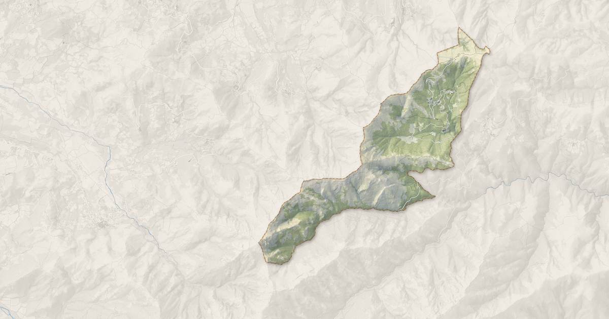 Portrait cartographique de Pioggiola : relief, eau, forêts, bâti et voies, calculés à partir des données de l'IGN