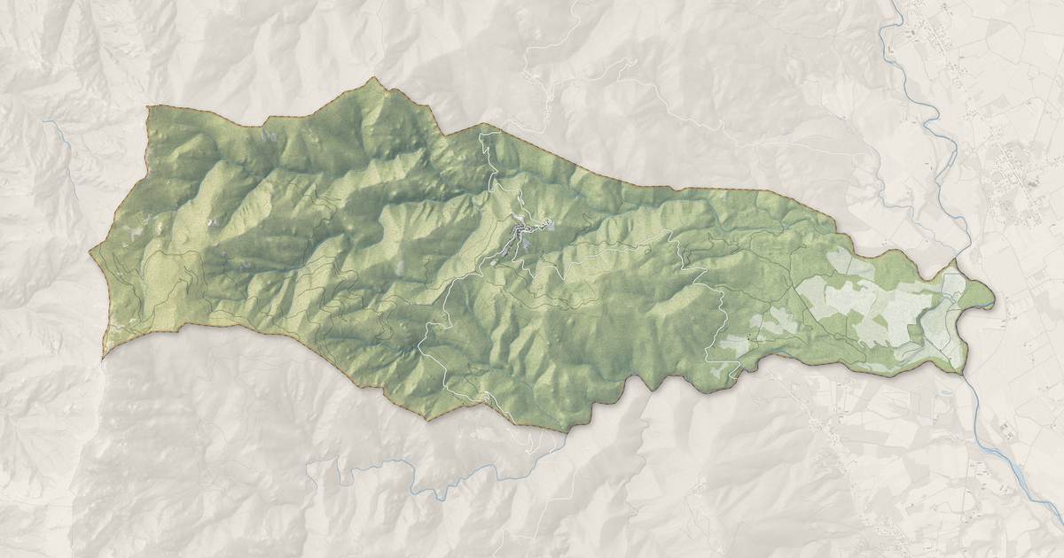 Portrait cartographique de Poggio-di-Nazza : relief, eau, forêts, bâti et voies, calculés à partir des données de l'IGN
