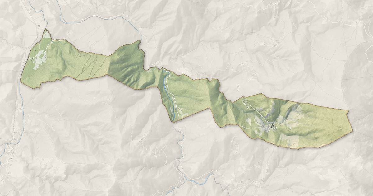 Portrait cartographique de Saliceto : relief, eau, forêts, bâti et voies, calculés à partir des données de l'IGN