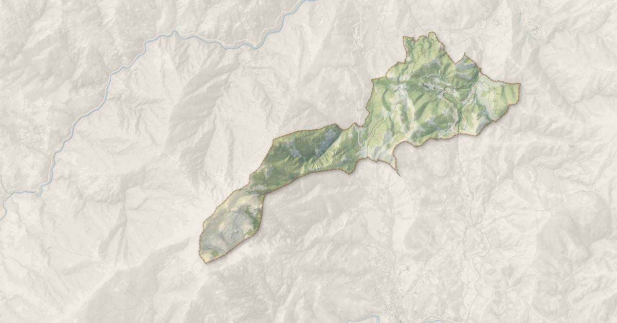 Portrait cartographique de Soveria : relief, eau, forêts, bâti et voies, calculés à partir des données de l'IGN