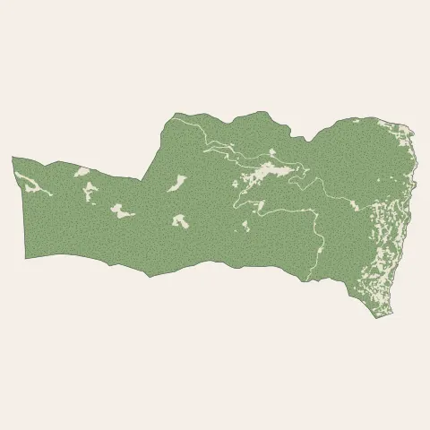 San-Martino-di-Lota : bois, forêts et landes