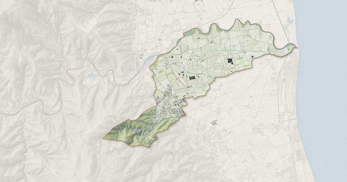 Portrait cartographique de Vescovato : relief, eau, forêts, bâti et voies, calculés à partir des données de l'IGN