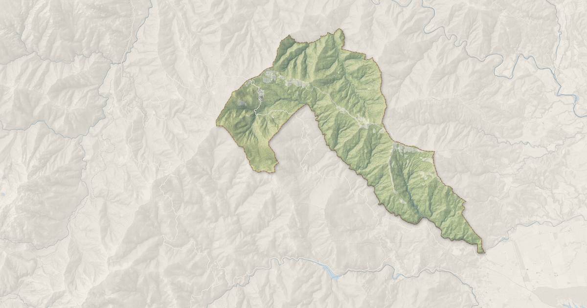 Portrait cartographique de Vezzani : relief, eau, forêts, bâti et voies, calculés à partir des données de l'IGN